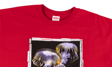 Jellyfish Tee 