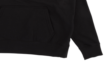 TNF Metallic Logo Hooded Sweatshirt 