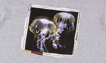 Jellyfish Tee 