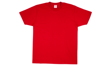 Planes Logo Tee