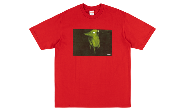 Chris Cunningham Chihuahua Tee "FW 18"