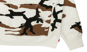 Box Logo Hooded Sweatshirt 