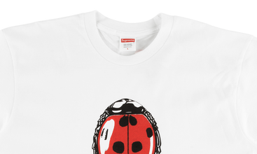 Ladybug Tee 