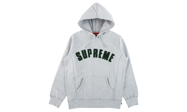 Chenille Arc Logo Hooded Sweatshirt "SS 2017"