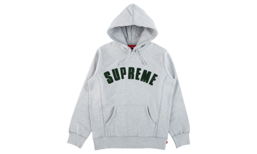 Chenille Arc Logo Hooded Sweatshirt 