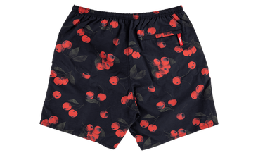 Nylon Water Short 