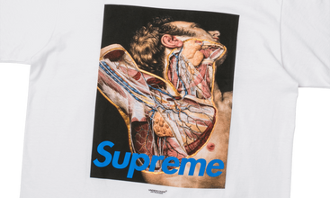 Undercover Anatomy Tee