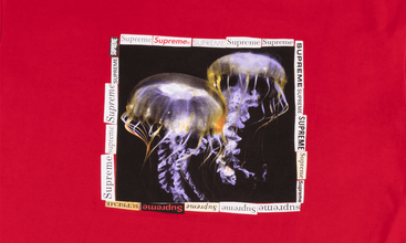 Jellyfish Tee 