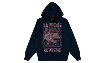Doves Hoodie 