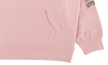 Sleeve Arc Hooded Sweatshirt 
