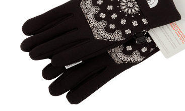 TNF Etip Glove 