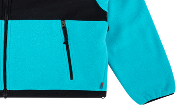 TNF Arc Logo Denali Fleece Jacket 