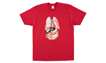 Guts Tee 