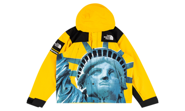 TNF Mountain Jacket 