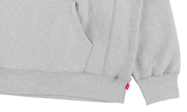 Box Logo Hooded Sweatshirt 