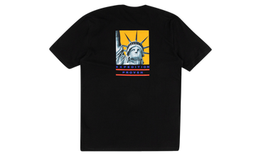 TNF Tee 