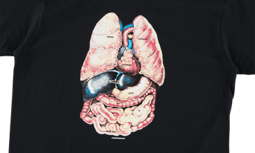Guts Tee 