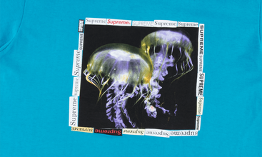 Jellyfish Tee 