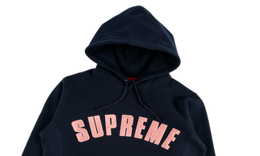 Chenille Arc Logo Hooded Sweatshirt 