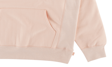 Embroidered Outline Hooded Sweatshirt 