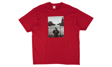 UDC Public Enemy White House Tee 