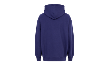 Hearts Arc Hoodie 