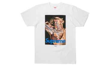 Undercover Anatomy Tee