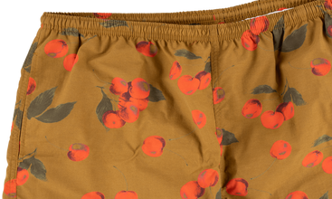 Nylon Water Short 