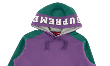 Paneled Hooded Sweatshirt 
