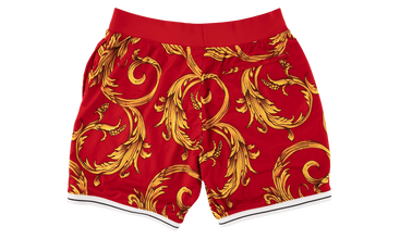 Nike Sports Shorts 