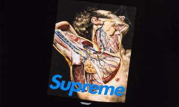 Undercover Anatomy Tee