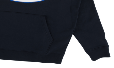 Champion Satin Logo Hooded Sweatshirt 