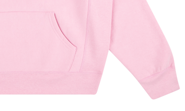 Bandana Box Logo Hoodie 