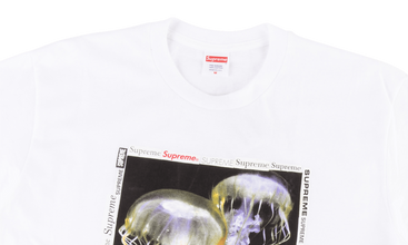 Jellyfish Tee 