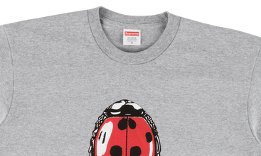 Ladybug Tee 