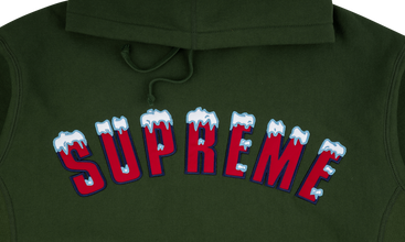 Icy Arc Hoodie 