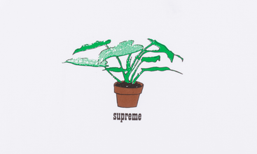 Plant Tee 