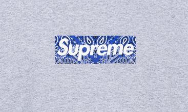 Bandana Box Logo Tee 