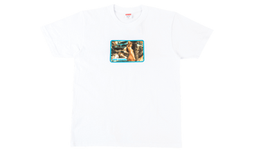 Larry Clark Girl Tee 