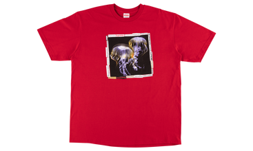 Jellyfish Tee 