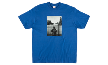 UDC Public Enemy White House Tee 