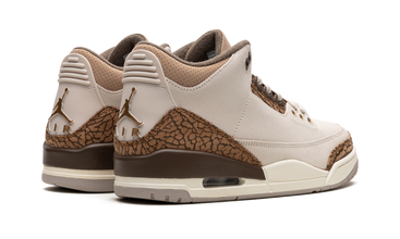 Air Jordan 3 