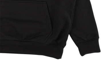 P-A-L Hoodie