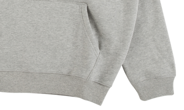 Champion Stacked C Hooded Sweatshirt 