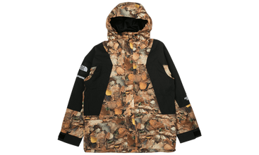 TNF Leaves Mountain Light Jacket 