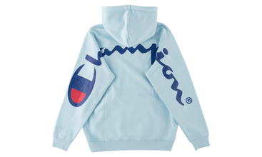 Champion Hooded Sweatshirt 