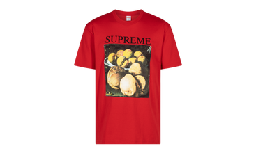 Still Life Tee 