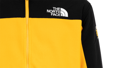 TNF RTG Fleece Jacket 
