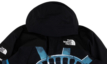 TNF Mountain Jacket 