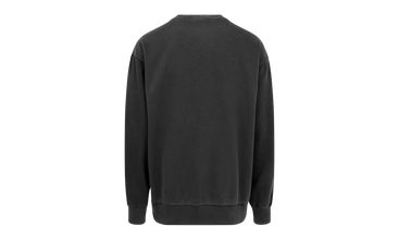 TNF Pigment Printed Crewneck 